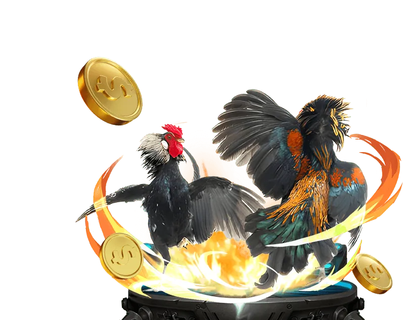 Công bằng và minh bạch